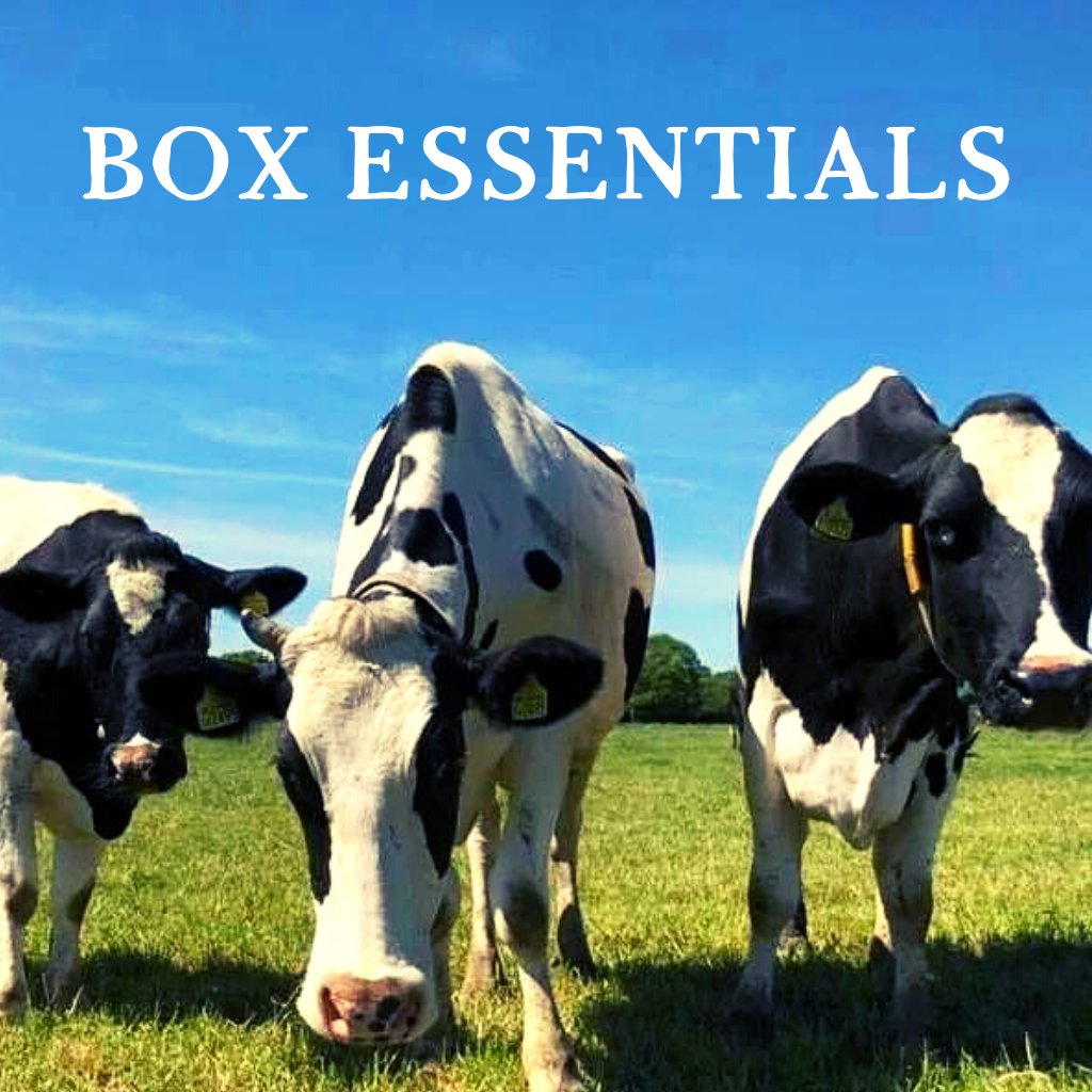 BoxEssentials