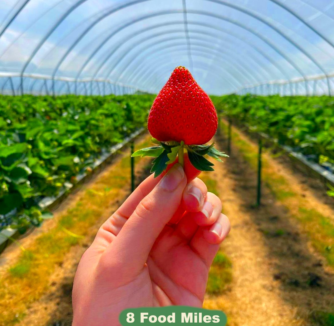 Fruit & Veg Boxes - REJOIN