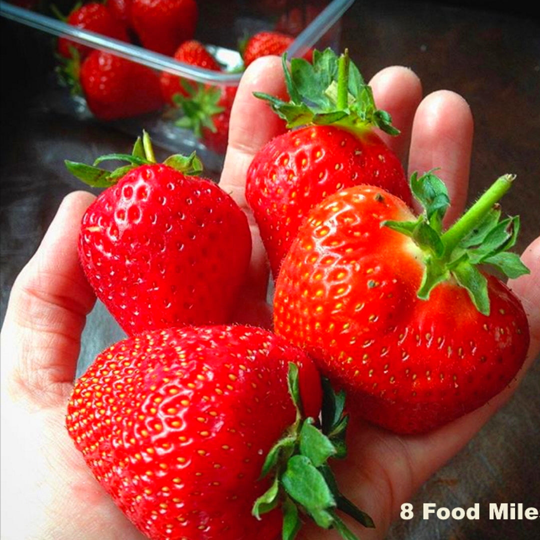 2025 New Customer Offer