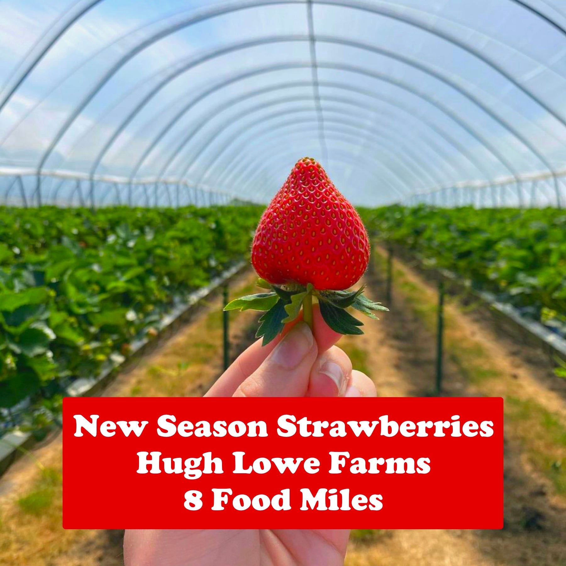 Southeastern Trains Offer