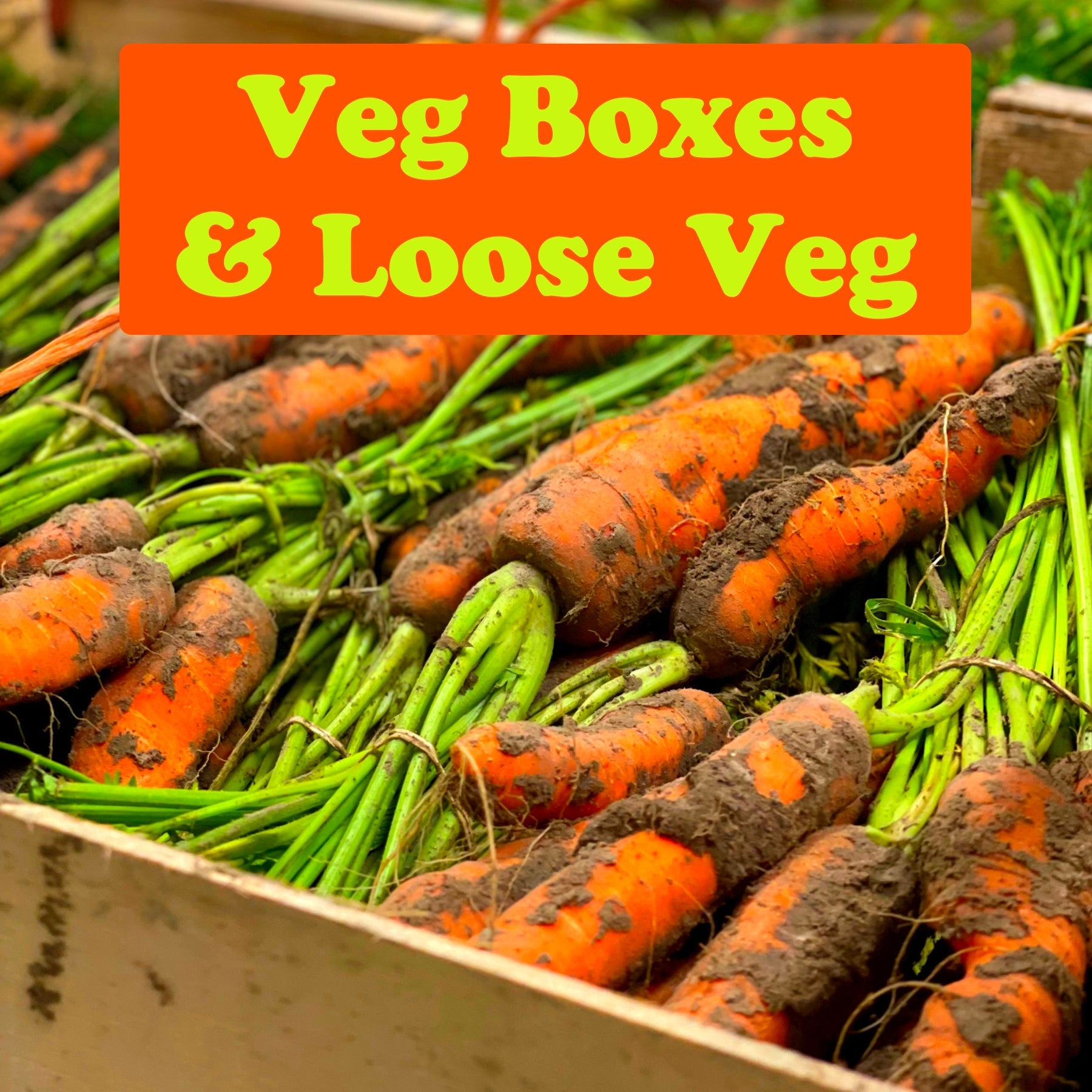 Christmas 2025 - Veg Boxes & Loose Veg