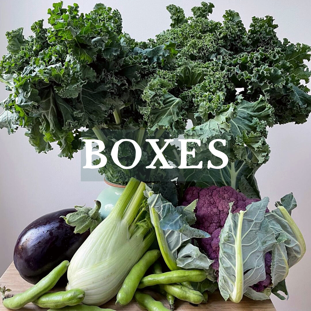 Box_of_veg