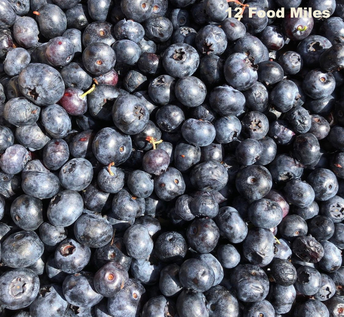 Kent Blueberries