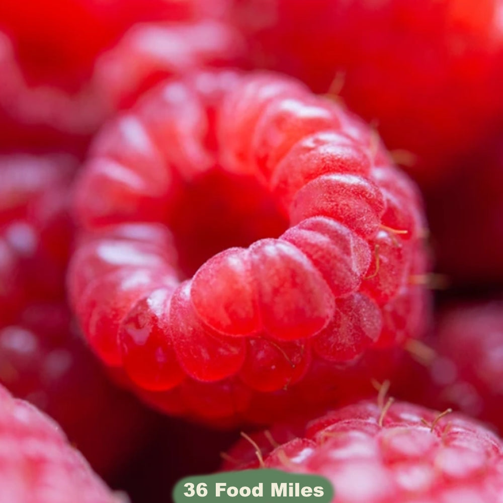 Kent Raspberries