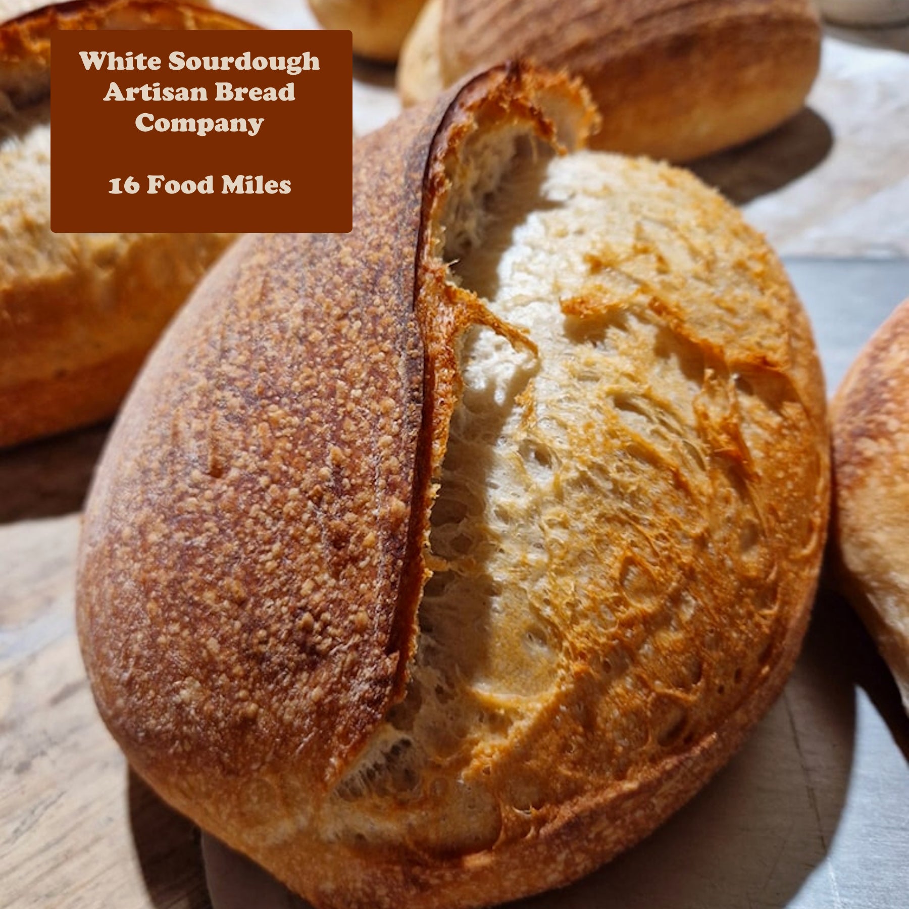 Sourdough Bread