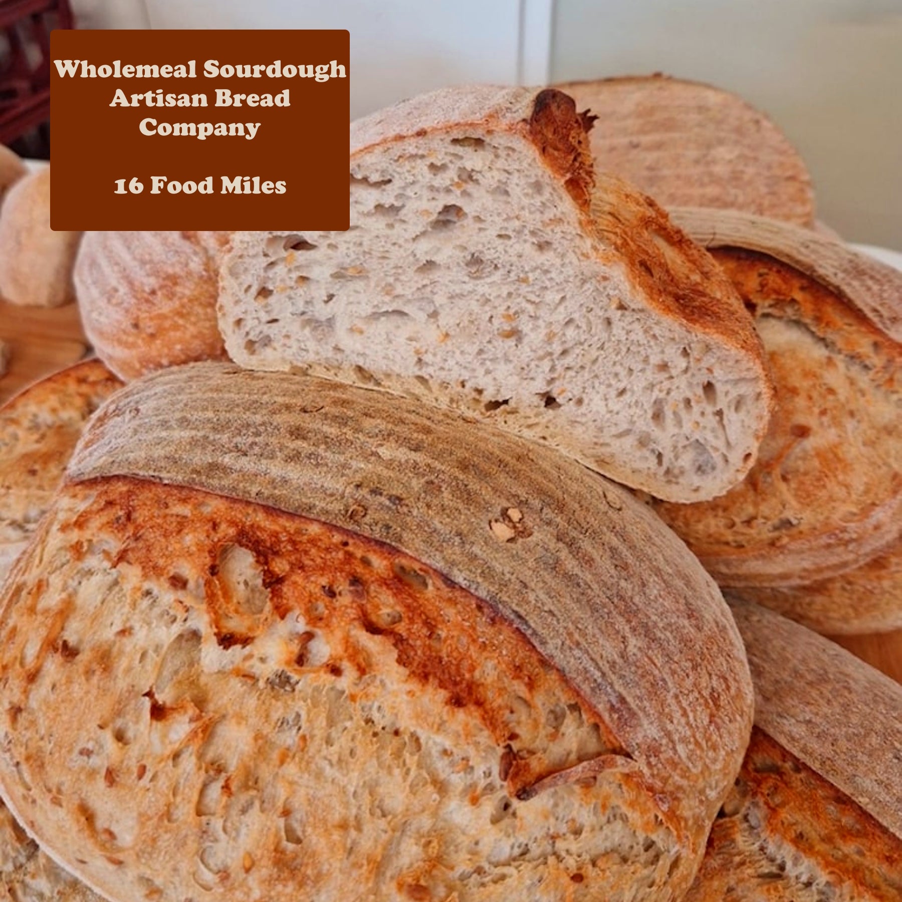 Sourdough Bread