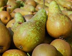 Fruit Box