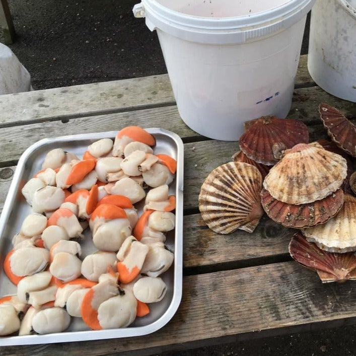 Fresh Fish Box - From Dungeness