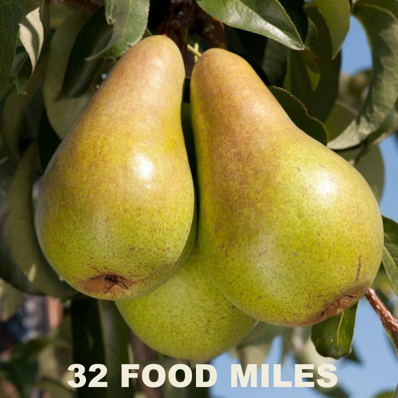 Kent Seasonal Fruit