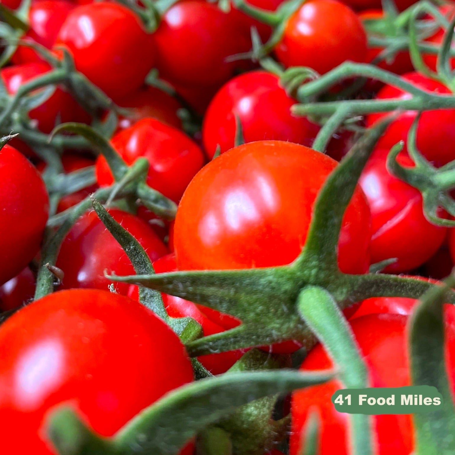 Kent Cherry Tomatoes 250g