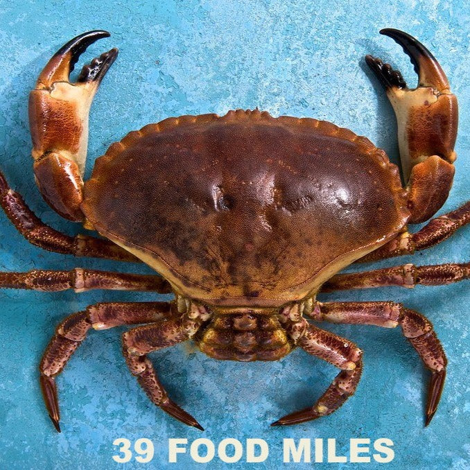 Kent Seafood Box