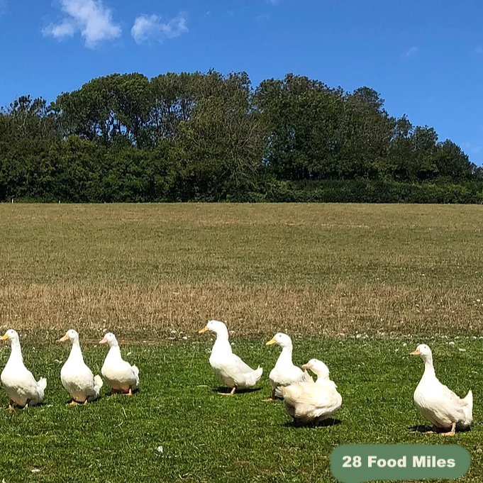 Free Range Kentish Duck