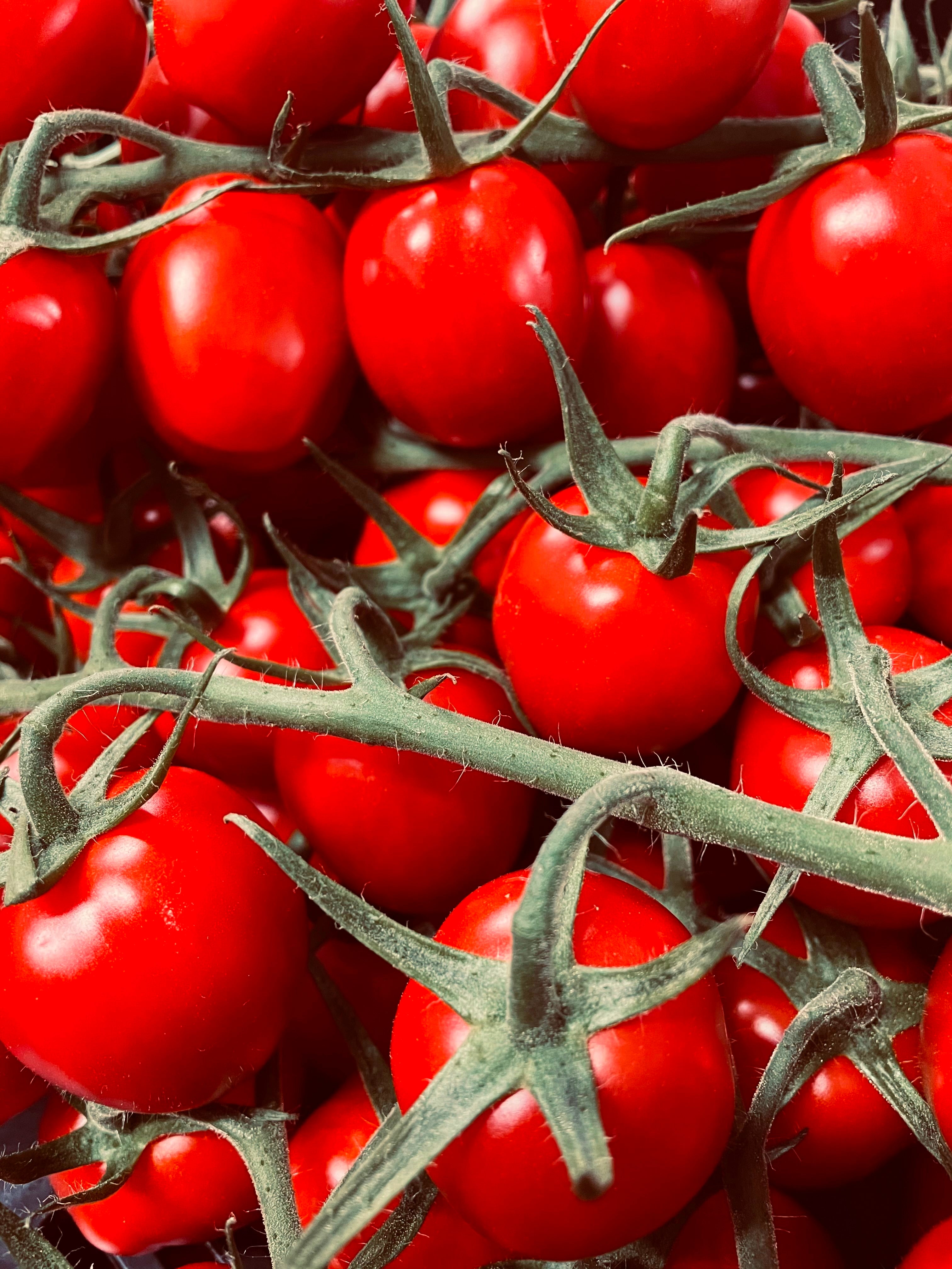 Kent Cherry Tomatoes 250g