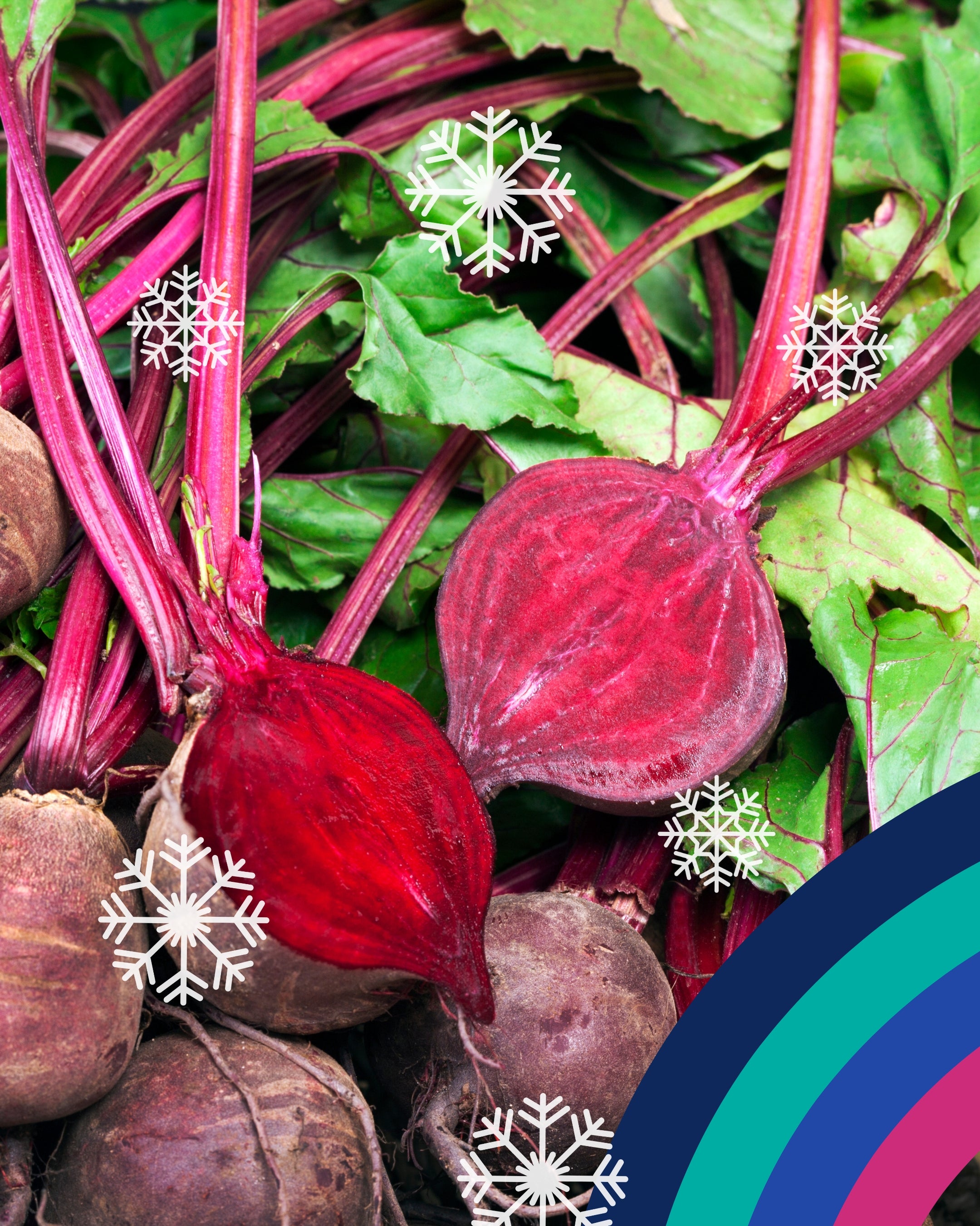 Discovery Box from Produced in Kent