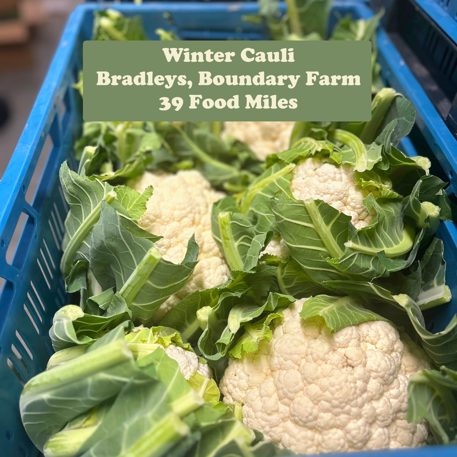 Christmas Day Veg Box