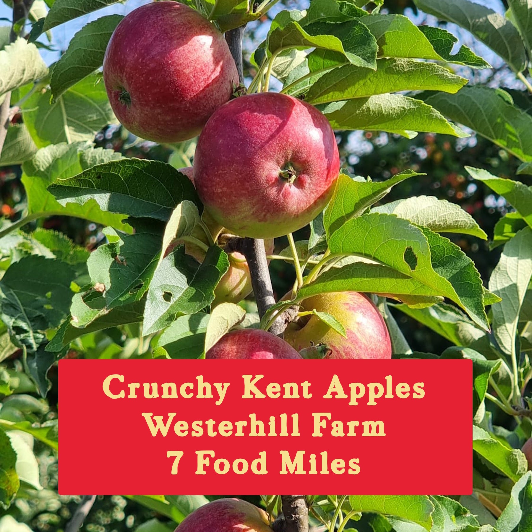 Apples 1kg