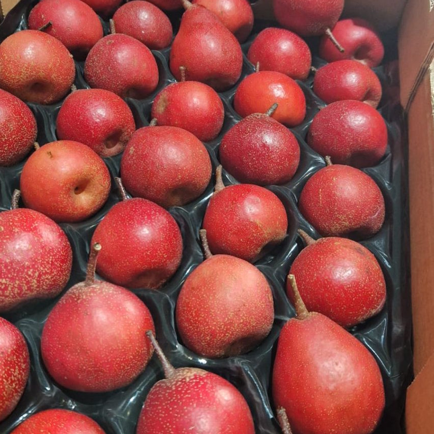 Asian Pears - 500g