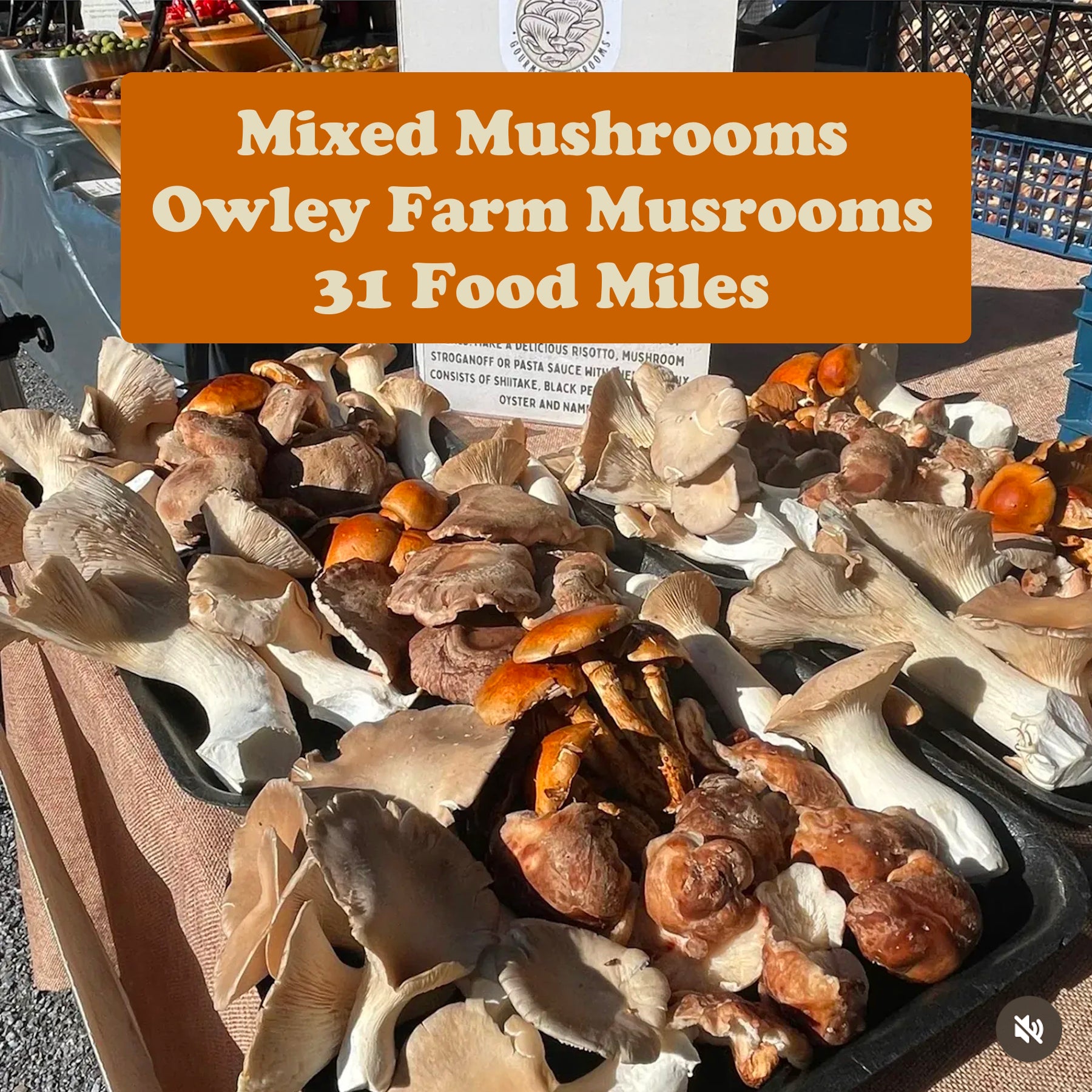 Mixed Mushrooms 250g