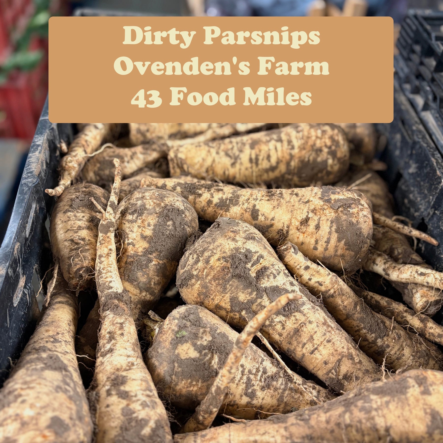 Parsnips 1kg