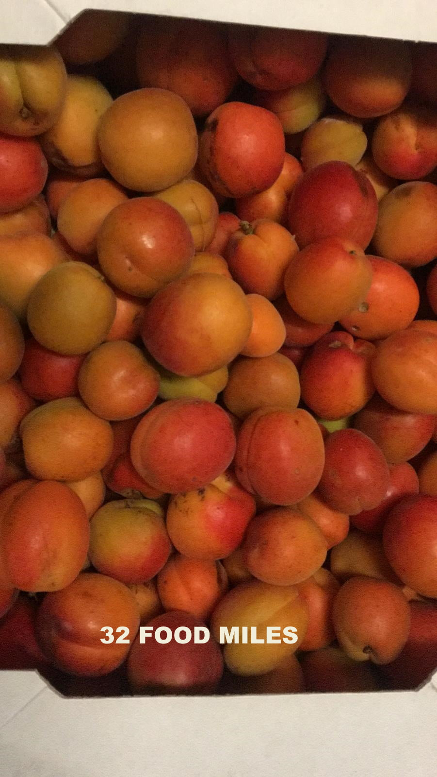Kent Seasonal Fruit
