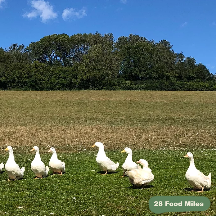 Free Range Kentish Duck Cuts