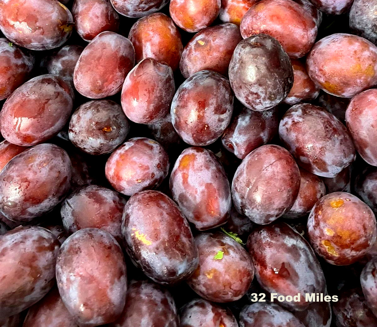 Kent Plums - 500g