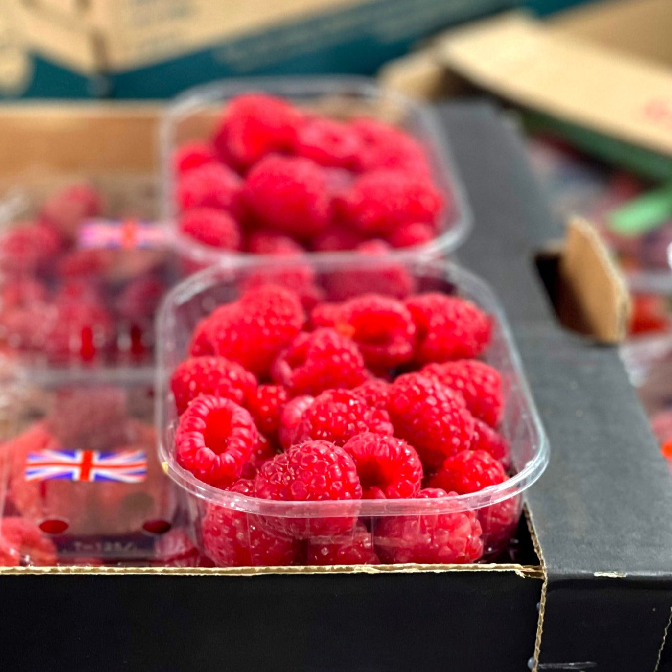 Kent Raspberries